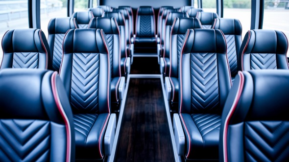 springfield 18 passenger minibus rental