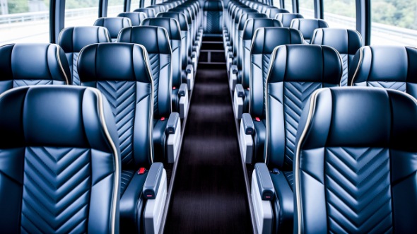 springfield 54 passenger charter bus rental